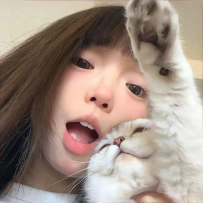 我的人格合租屋